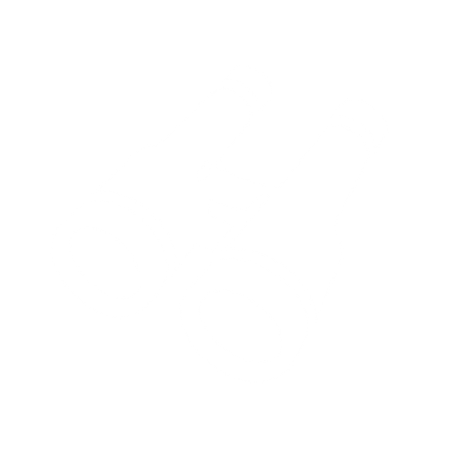 Thing To See