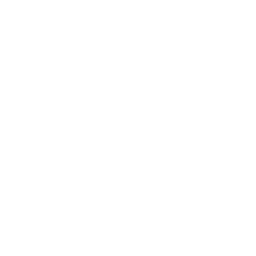 Cruise
