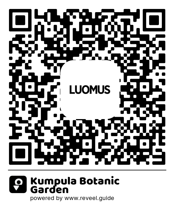 Image of the QR linking to the Kumpula botaniska trädgård