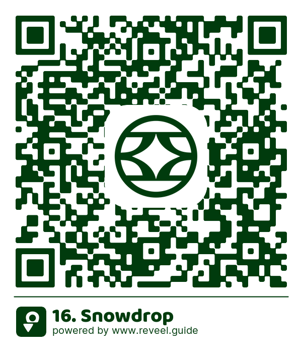 Image of the QR linking to the 16. Snowdrop