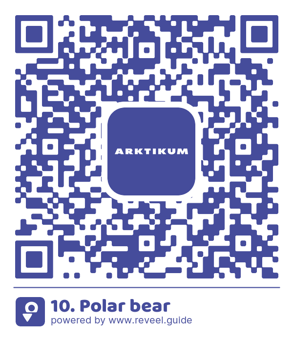 Image of the QR linking to the 10. Polar bear