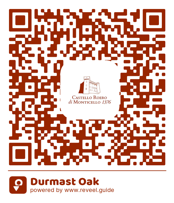 Image of the QR linking to the Durmast Oak