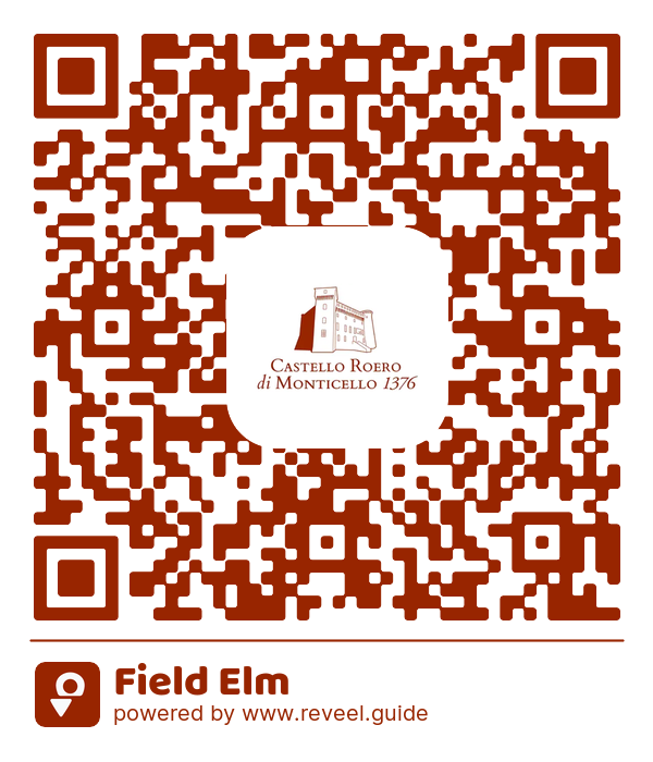 Image of the QR linking to the Field Elm