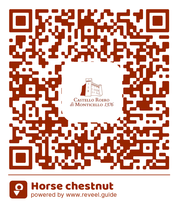 Image of the QR linking to the Horse chestnut