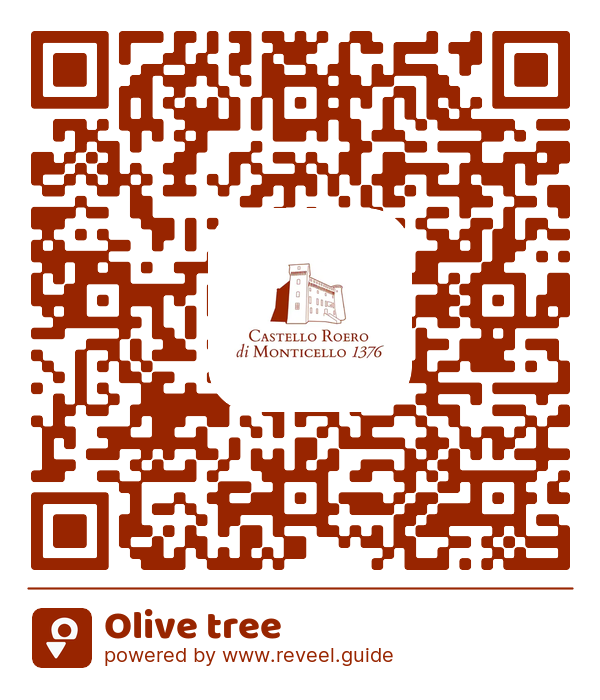 Image of the QR linking to the Olive tree