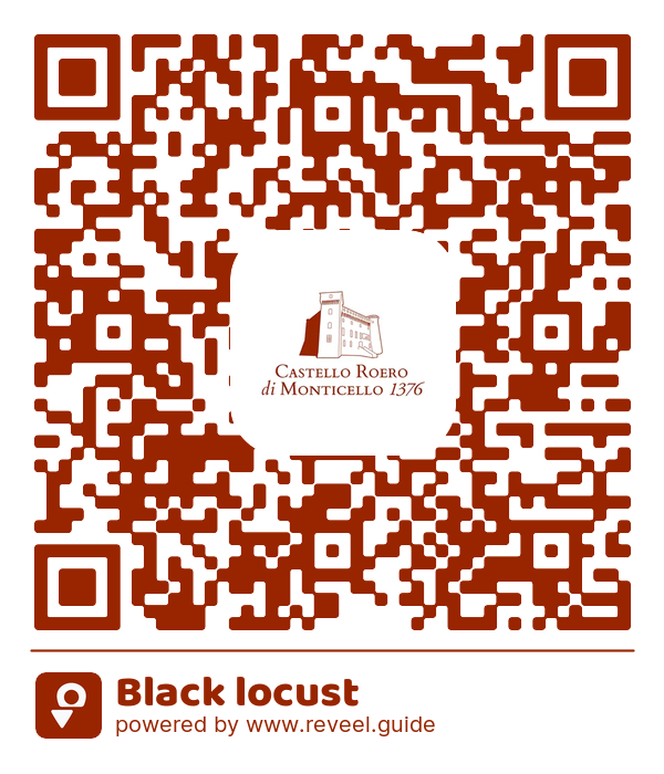 Image of the QR linking to the Black locust
