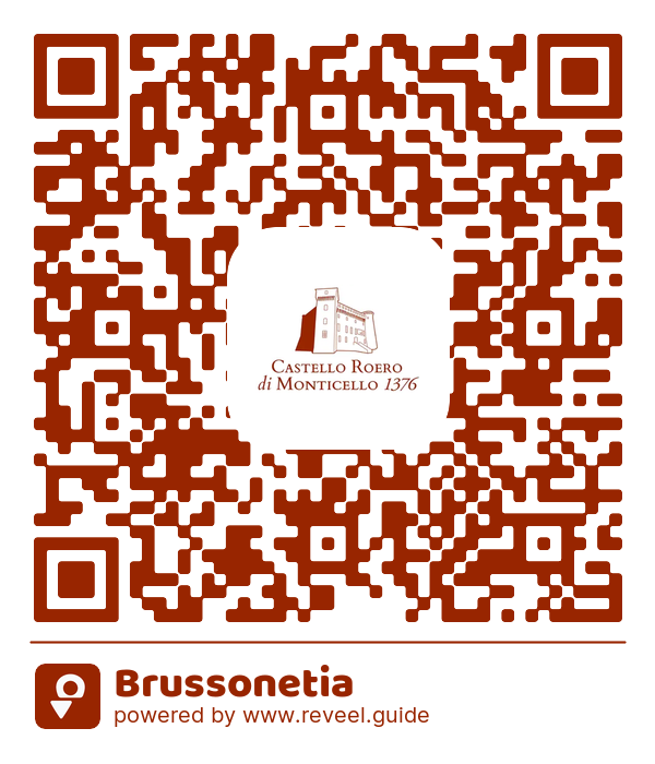 Image of the QR linking to the Brussonetia
