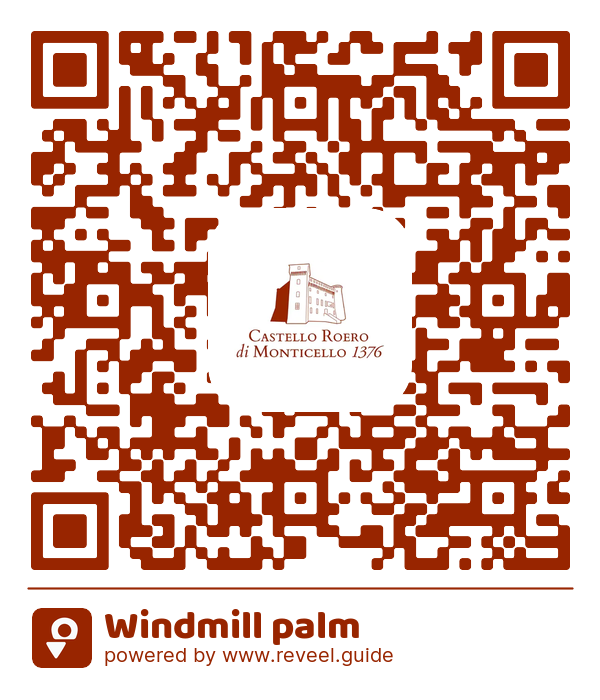 Image of the QR linking to the Windmill palm