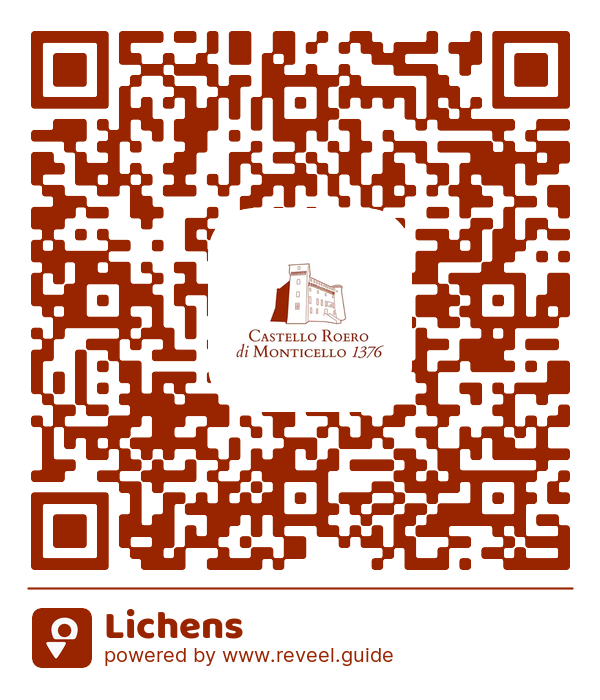 Image of the QR linking to the Lichens