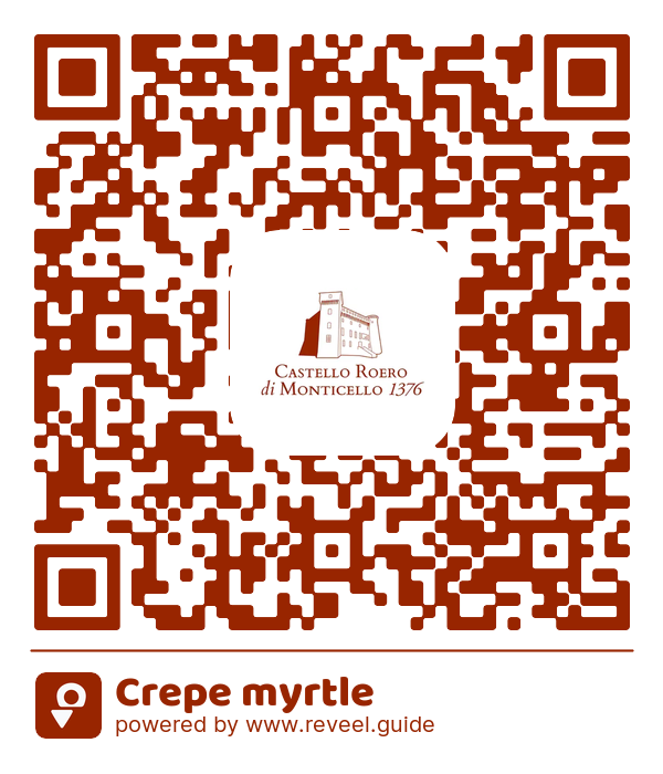 Image of the QR linking to the Crepe myrtle