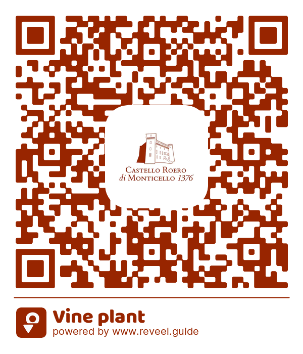 Image of the QR linking to the Vine plant