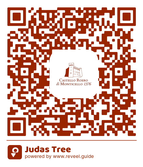 Image of the QR linking to the Judas Tree