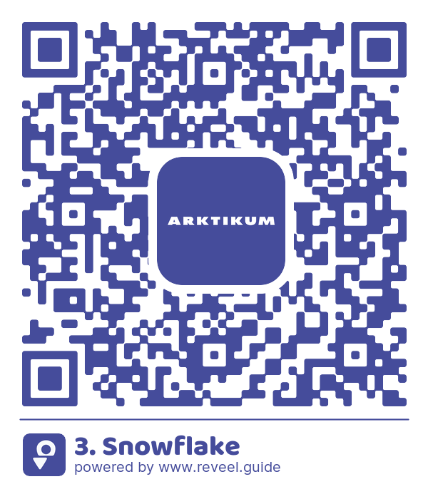 Image of the QR linking to the 3. Snowflake