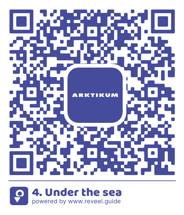 Image of the QR linking to the 4. Under the sea