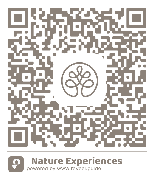 Image of the QR linking to the 🌿 Nature Experiences