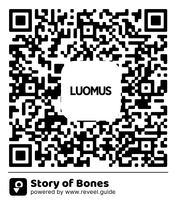 Image of the QR linking to the Berättelsen om ben