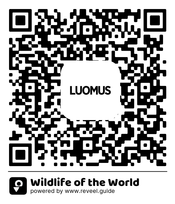 Image of the QR linking to the Wildlife of the World