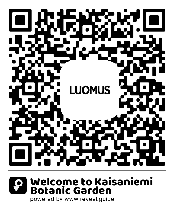 Image of the QR linking to the Welcome to Kaisaniemi Botanic Garden