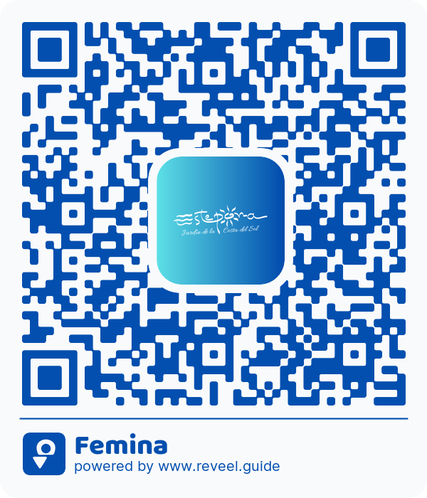 Image of the QR linking to the Femina