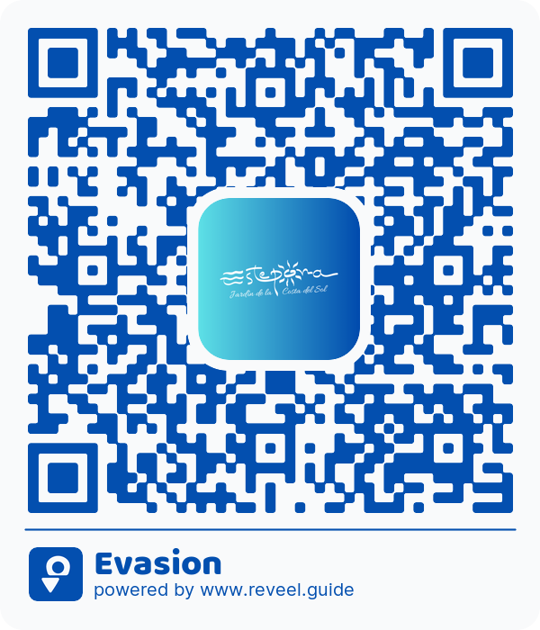 Image of the QR linking to the Evasion