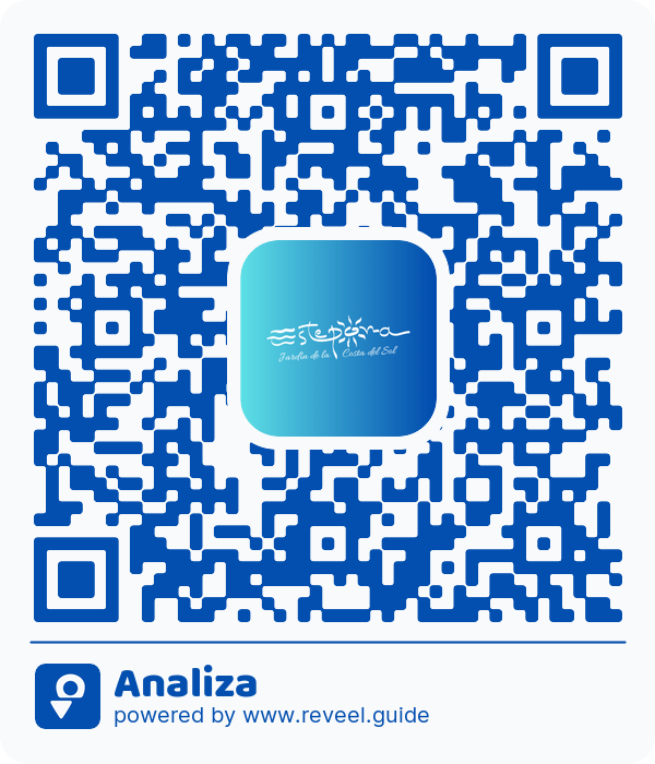 Image of the QR linking to the Analiza