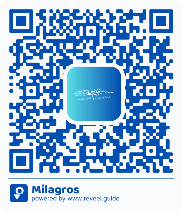 Image of the QR linking to the Milagros 
