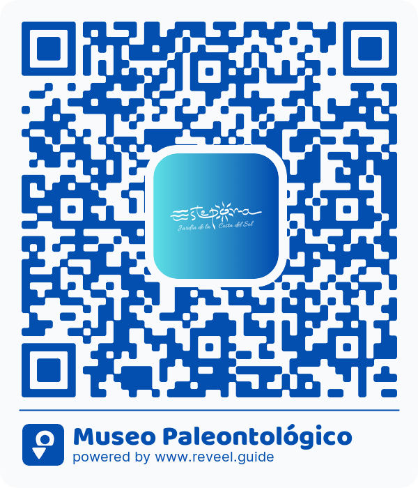 Image of the QR linking to the Museo Paleontológico
