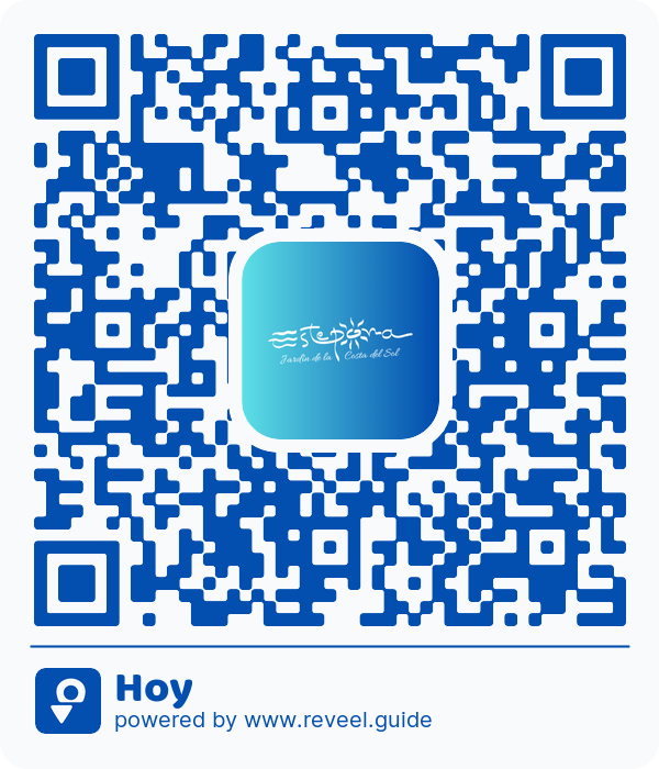 Image of the QR linking to the Hoy