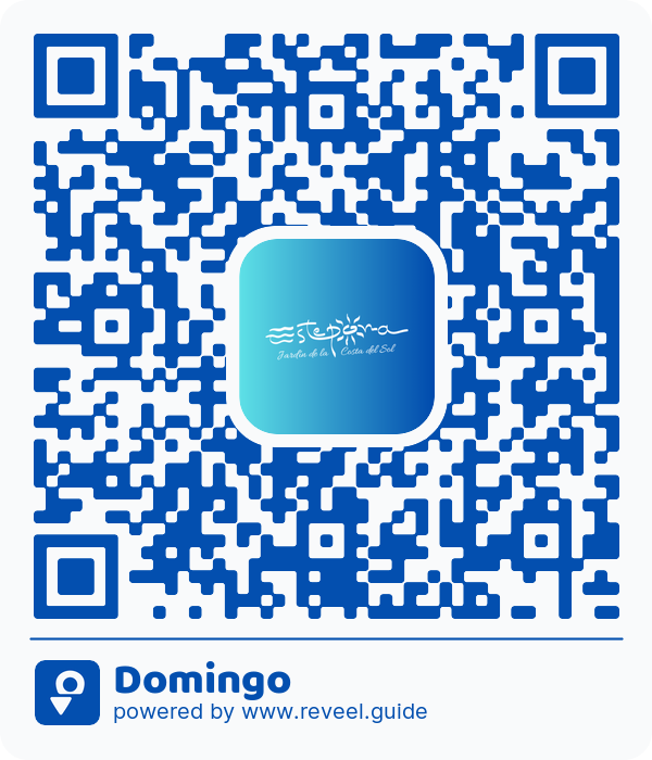 Image of the QR linking to the Domingo