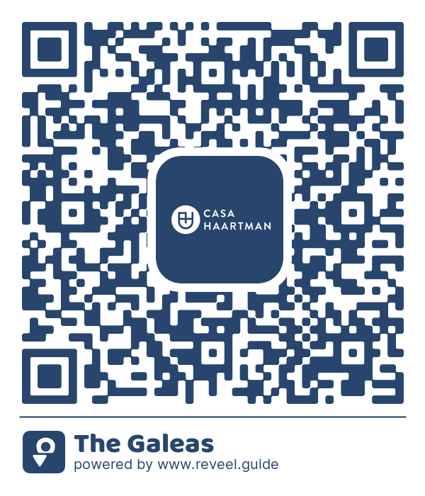 Image of the QR linking to the The Galeas