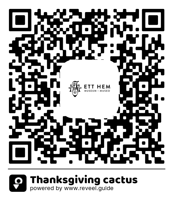 Image of the QR linking to the Marraskuunkaktus