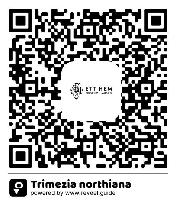 Image of the QR linking to the Trimezia northiana
