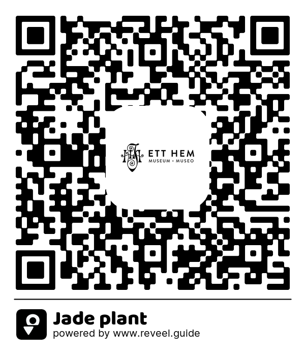 Image of the QR linking to the Jade plant
