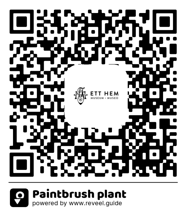 Image of the QR linking to the Valkotupsukki