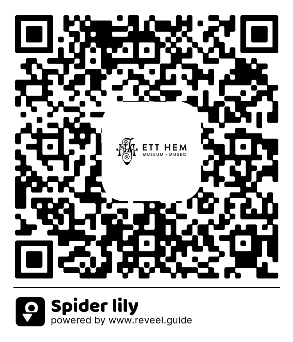 Image of the QR linking to the Spider lily