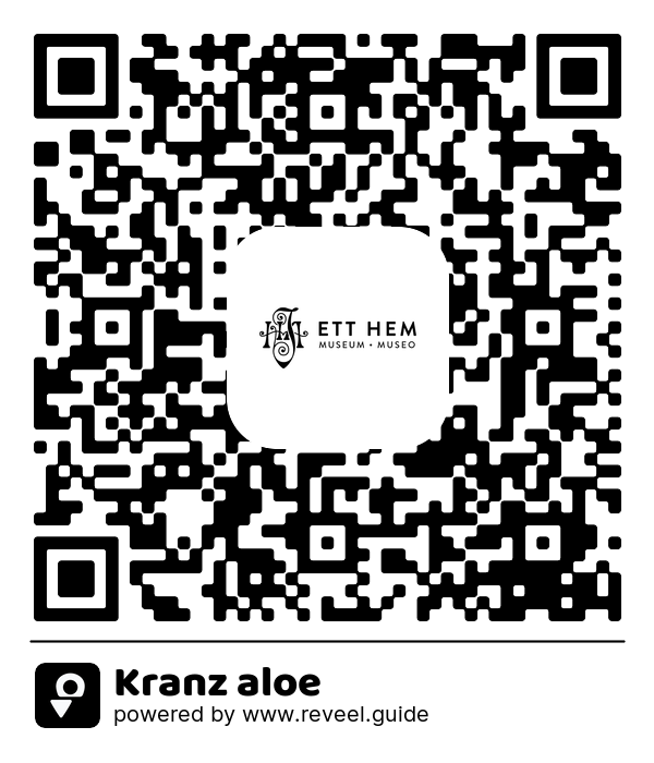 Image of the QR linking to the Kranz aloe