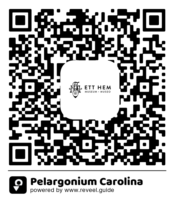Image of the QR linking to the Pelargonium Carolina