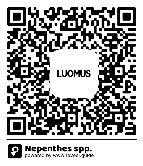 Image of the QR linking to the Nepenthes spp.