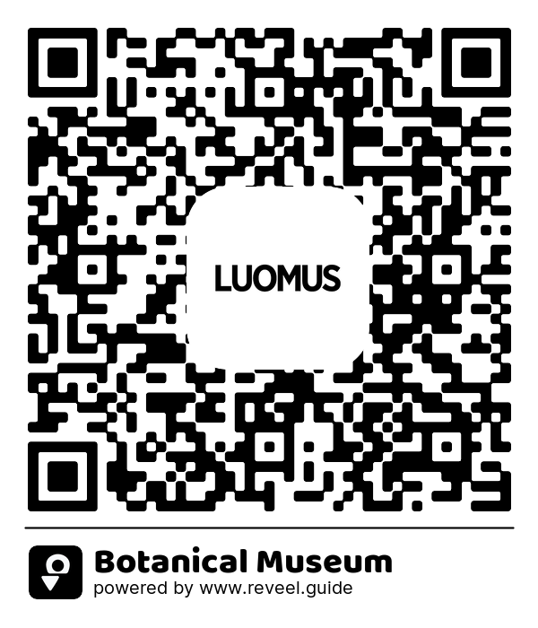 Image of the QR linking to the Botanical Museum