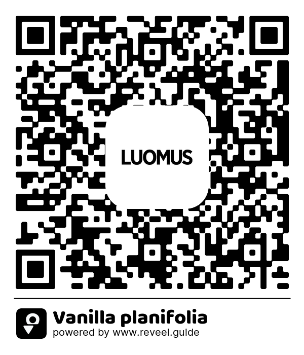 Image of the QR linking to the Vanilla planifolia