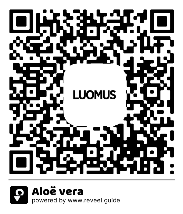Image of the QR linking to the Aloë vera