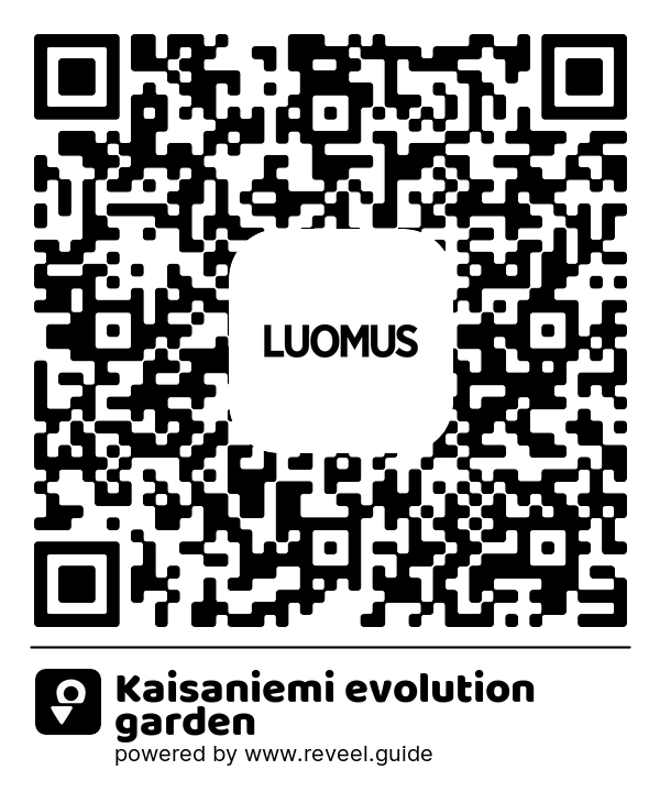 Image of the QR linking to the Kaisaniemi evolution garden