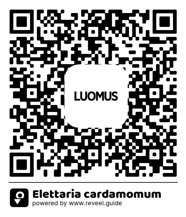 Image of the QR linking to the Elettaria cardamomum