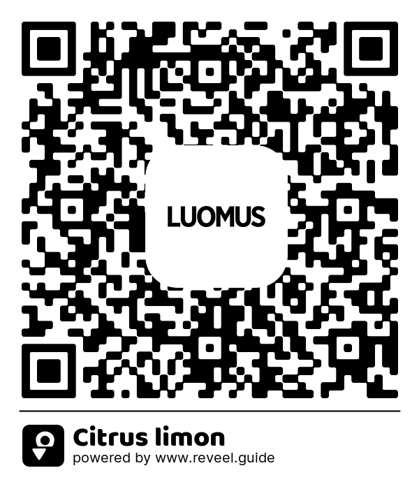 Image of the QR linking to the Citrus limon