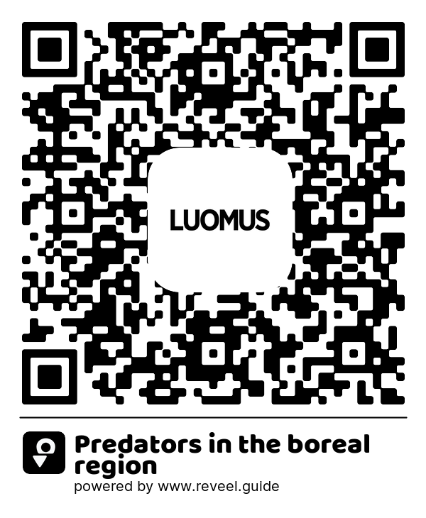 Image of the QR linking to the Predators in the boreal region