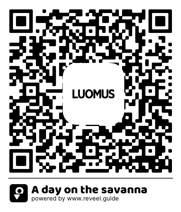 Image of the QR linking to the A day on the savanna 