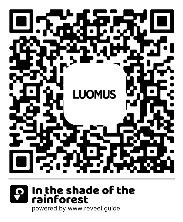 Image of the QR linking to the In the shade of the rainforest