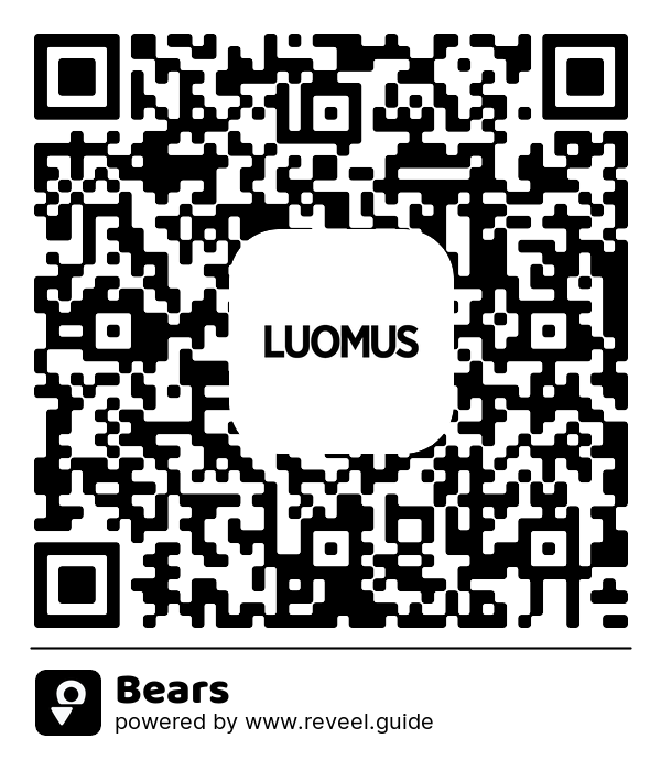 Image of the QR linking to the Bears