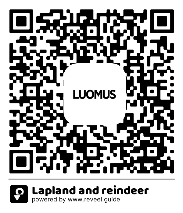 Image of the QR linking to the Lapland and reindeer