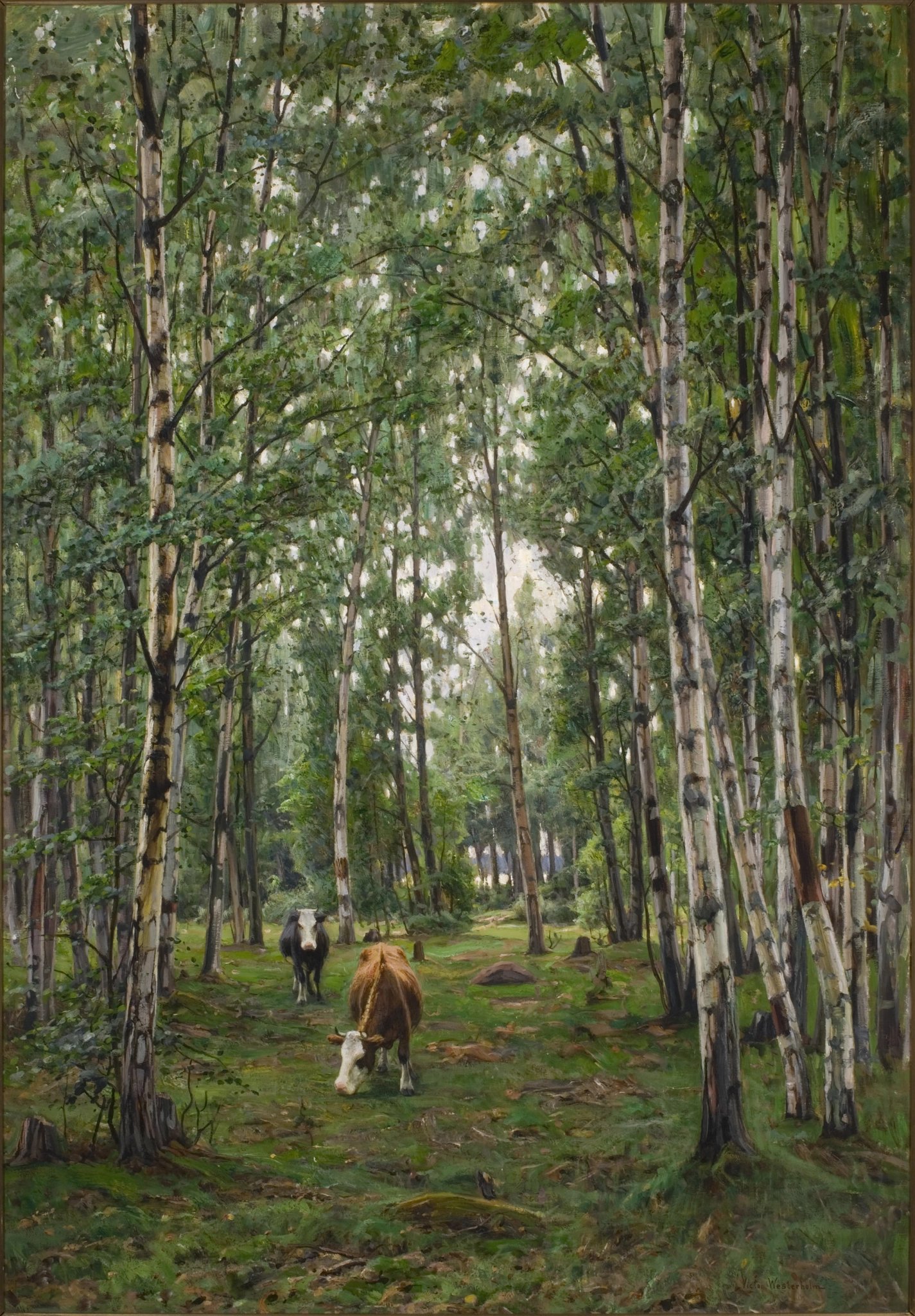 Victor Westerholm, Cows in the birch forest, 1899